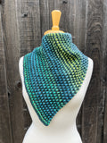 Bayshore Bandana Cowl Kit