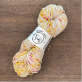 Eco-Printing Yarn and Fabric with Natural Dyes workshop in Napa May 19