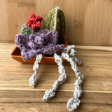Squishy Succulents pattern PDF