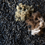 Integrity Alpacas Ranch Retreat in Vacaville April 18