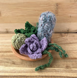 Squishy Succulents pattern PDF
