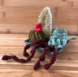 Squishy Succulents Kit