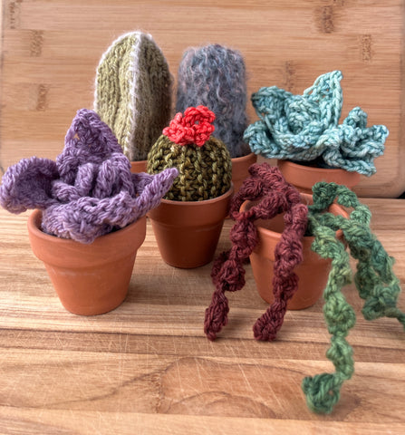 Squishy Succulents pattern PDF