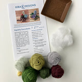 Squishy Succulents Kit